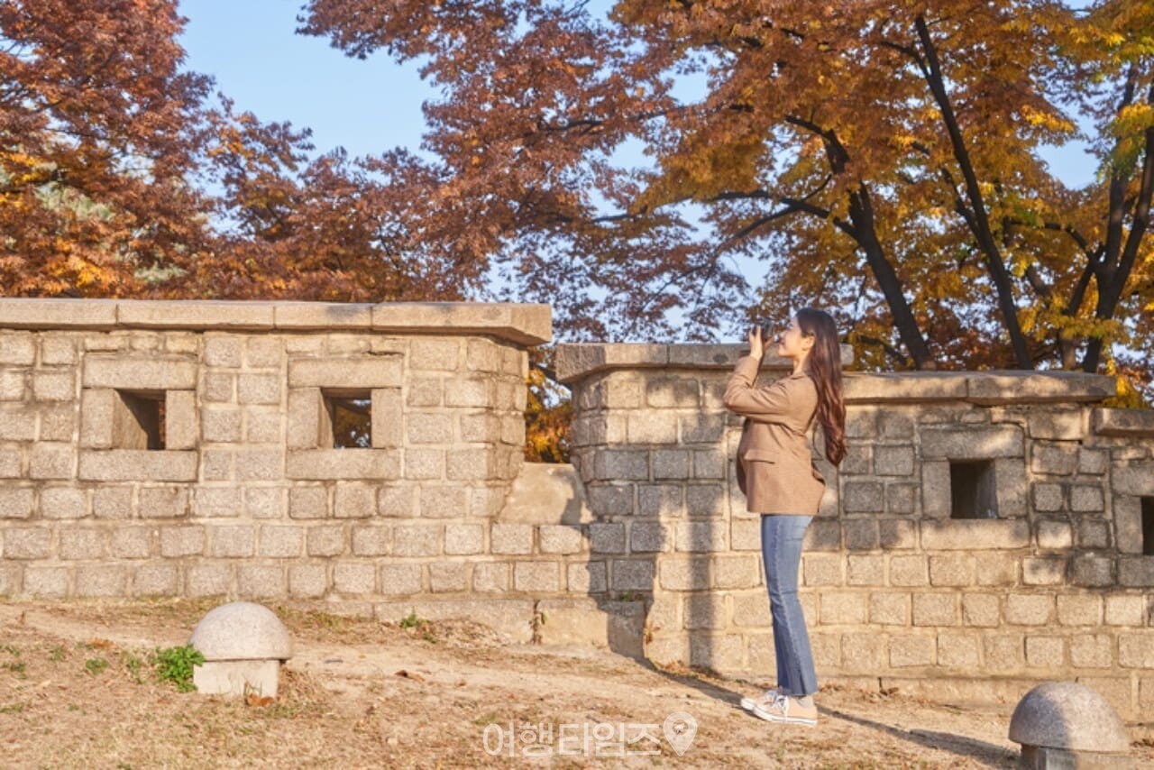 이번 주가 마지막 이겠네요...
